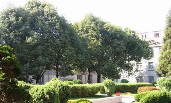 云南省邮电学校花园