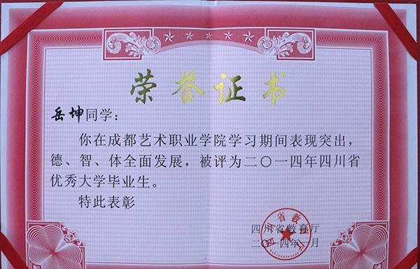 成都艺术职业学院教学成果2
