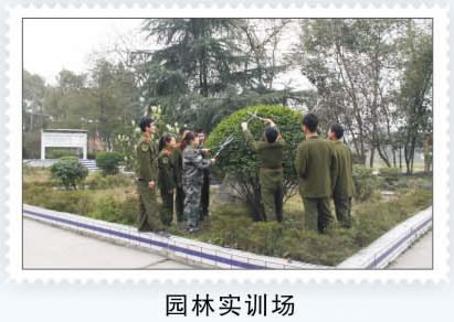 重庆茂森中等职业学校林园实训场