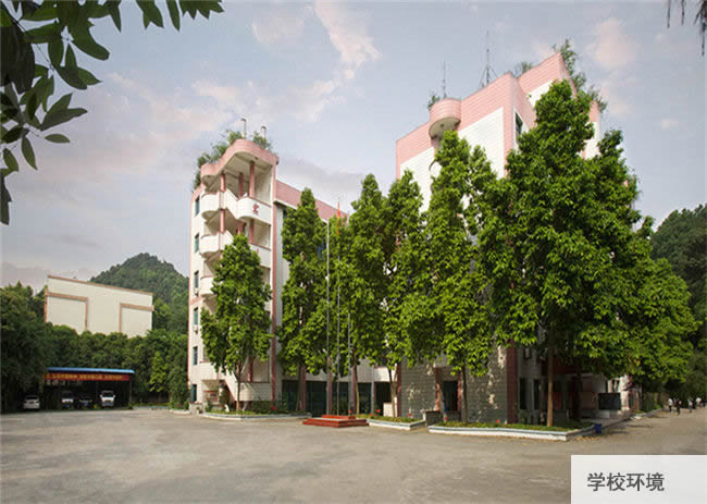 重庆南丁卫校学校环境