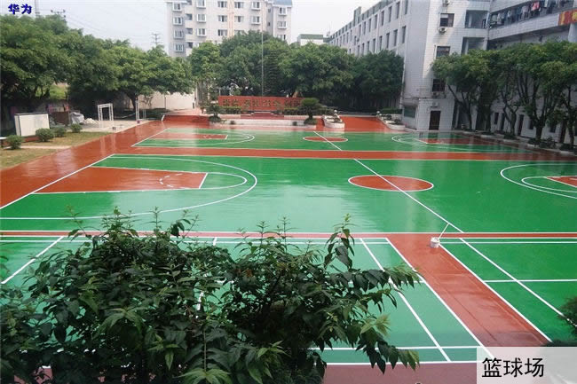 重庆工业技师学院华为分院(永川华为技工学校)篮球场图片