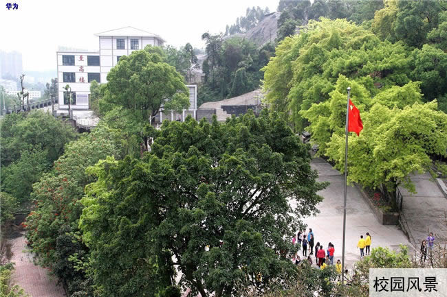 重庆工业技师学院华为分院(永川华为技工学校)校园风景图片