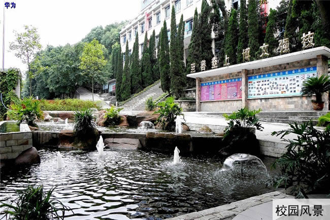 重庆工业技师学院华为分院(永川华为技工学校)校园风景图片