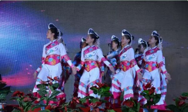 红河哈尼梯田文化传承学校民族音乐与舞蹈专业