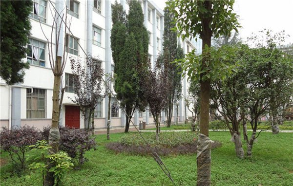 贵阳市白云区职业技术学校校园绿化