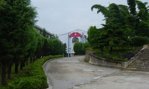 临沧高级技工学校学校行道