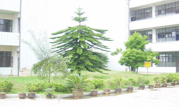 临沧高级技工学校教学区