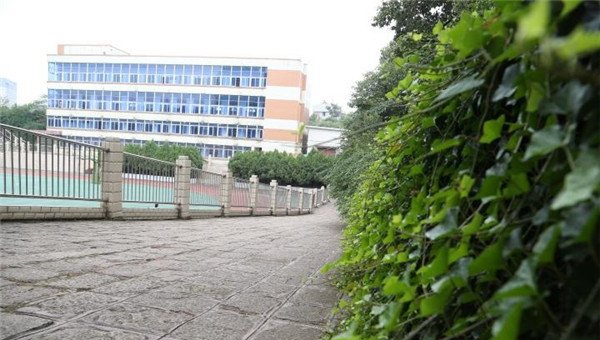 贵阳经济贸易中等专业学校校园一角1