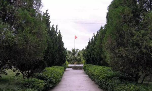 宾川县职业高级中学校园小径