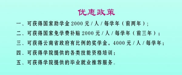 云南三鑫职业技术学院（中专部）资助政策