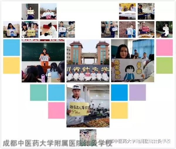 成都中医药大学附属医院针灸学校