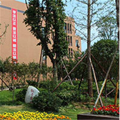 2020年四川省希望汽车技师学院招生简介