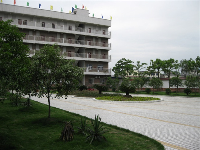 2020年乐山市欣欣艺术职业学校招生简章