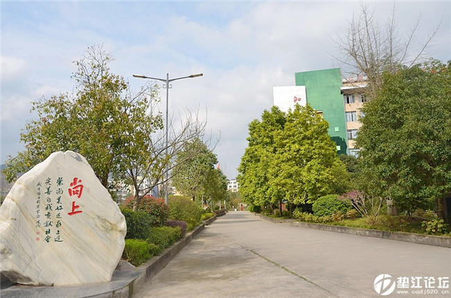 重庆市垫江县职业教育中心怎么样？好不好?
