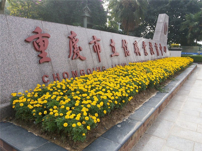 2020年重庆市立信职业教育中心招生简章