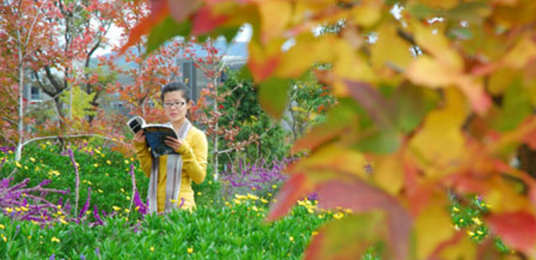 云南师范大学应用心理学专业