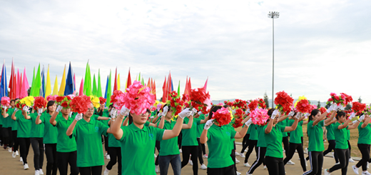 大理大学小学教育专业