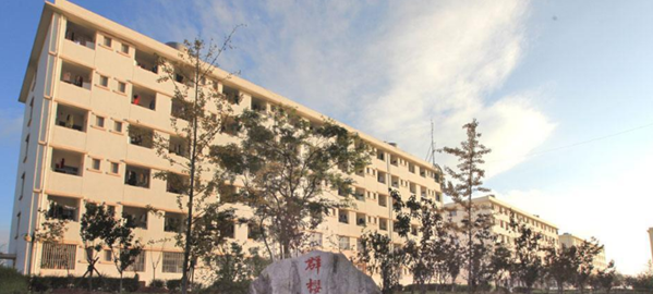 曲靖师范学院小学教育专业
