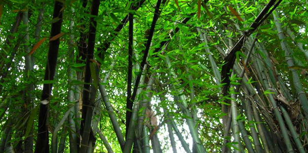 云南现代职业技术学院汽车美容专业