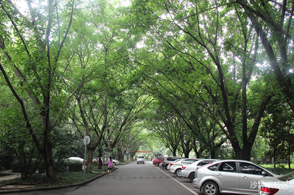 重庆知行卫生学校招生简章