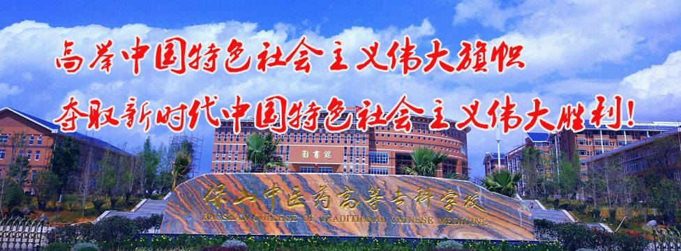 保山中医药高等专科学校学校大门 保山中医药高等专科学校学校大门