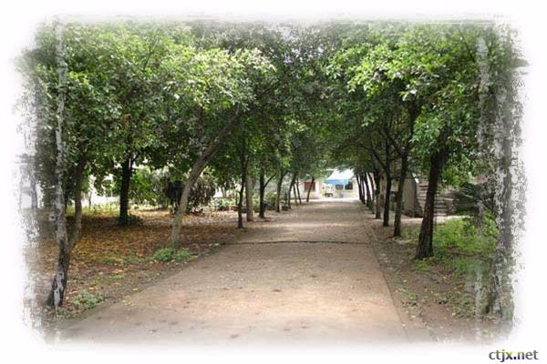 重庆铁路运输技师学院