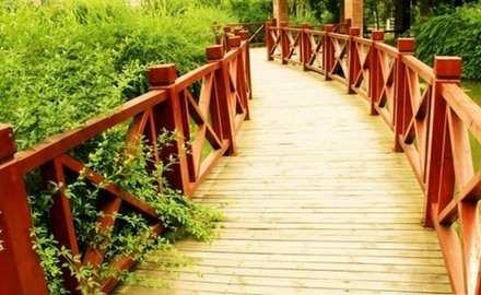 川师幼师学院初等教育专业招生简介