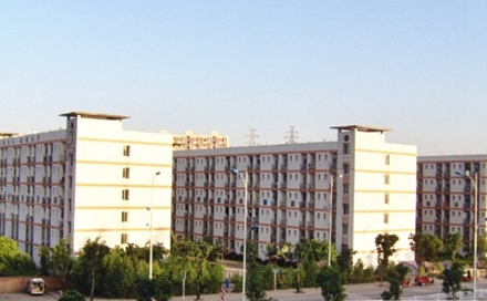 成都市学院小学教育(语文方向)专业招生简介