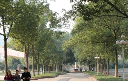 四川省民族学院数学与应用数学专业招生简介