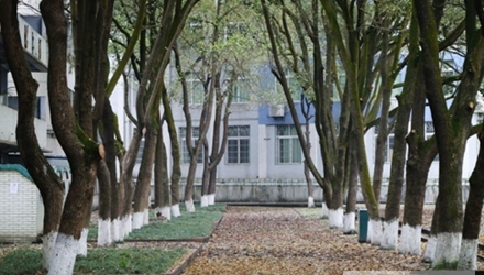 四川省民族学院英语教育专业招生简介