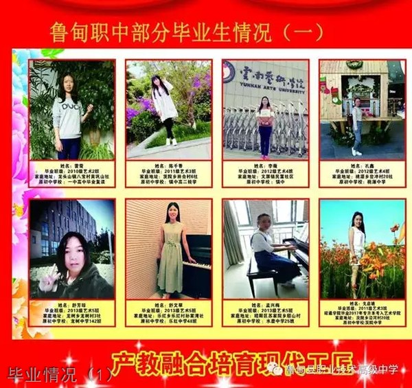 鲁甸县职业技术高级中学毕业情况（1）