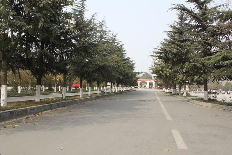 四川大学医学院 四川大学医学院