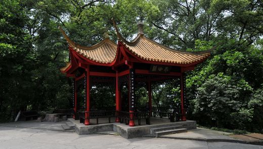 泸州医学院校园环境