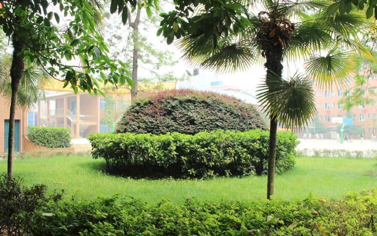 德阳市中等卫生职业学校 德阳市中等卫生职业学校