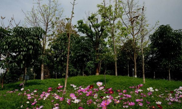 普洱市职业教育中心校园环境