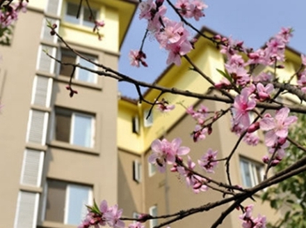 四川省文理学院应用心理学专业招生简介