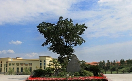 四川省文理学院学前教育专业招生简介