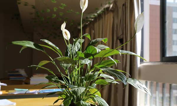 云南建投技工学校教室