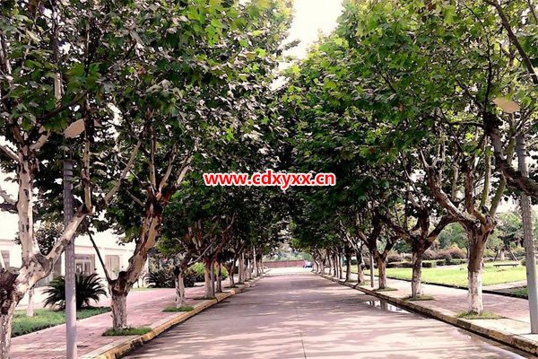 德阳职高学校 德阳职高学校