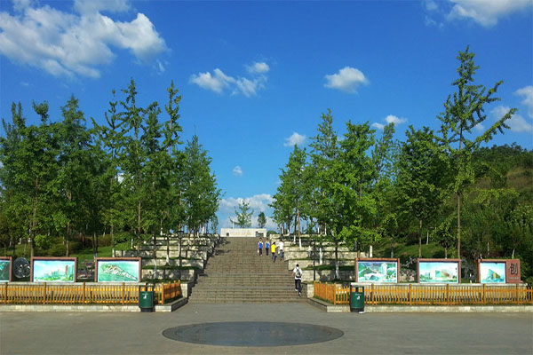 学校介绍