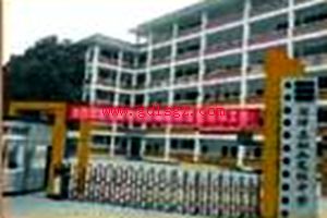 盐津县职业高级中学图片