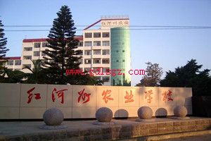 红河州农业学校图片