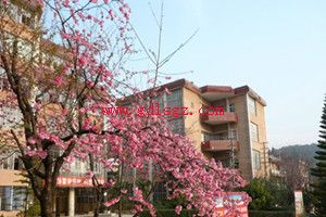 保山中等专业学校图片