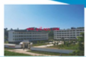 陇川县职业高级中学图片 陇川县职业高级中学图片