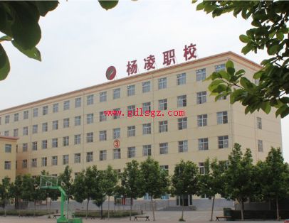 杨凌中等职业学校2020年招生简介 杨凌中等职业学校2020年招生简介