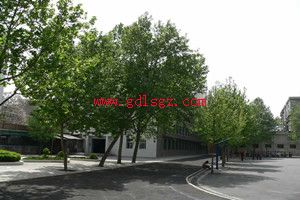 西安综合职业中等专业学校2020年招生简介