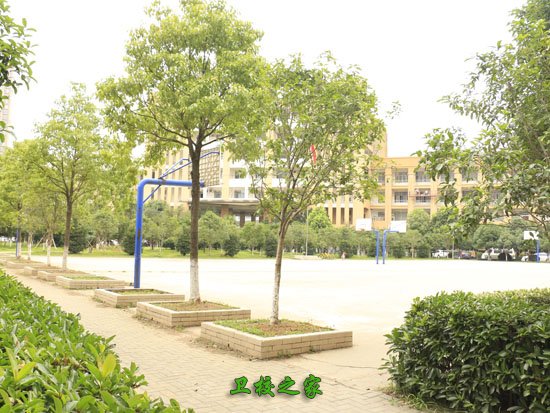 学校景色