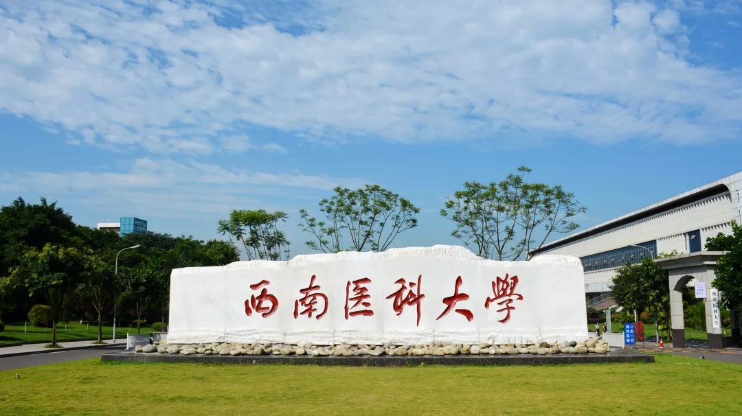 西南医科大学2020年录取分